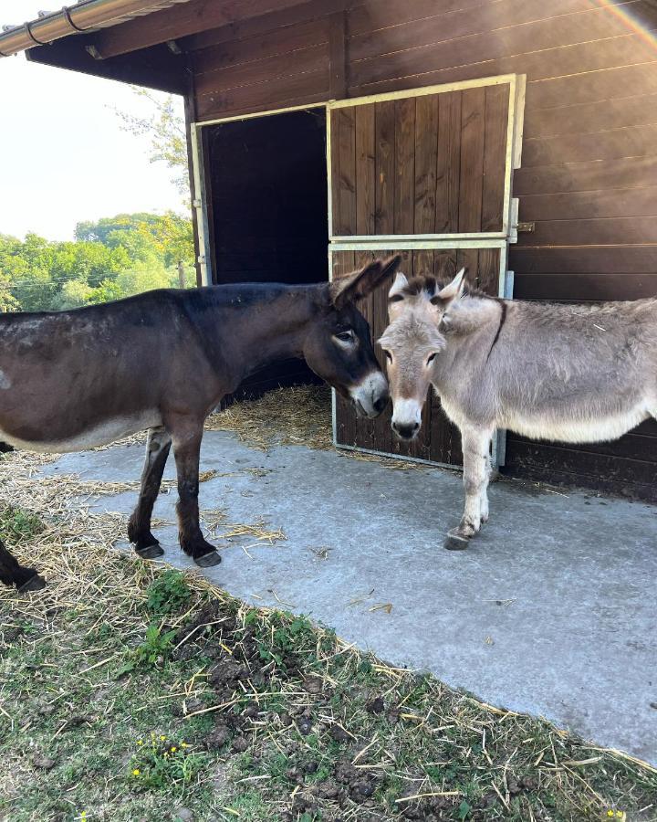 Vila La Ferme Saint Pierre De Glabais Genappe Exteriér fotografie
